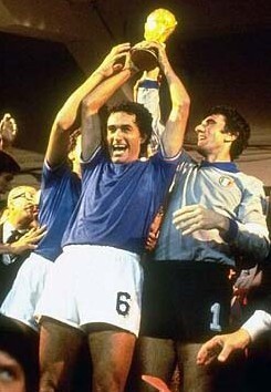 近年来在转 近年来在转