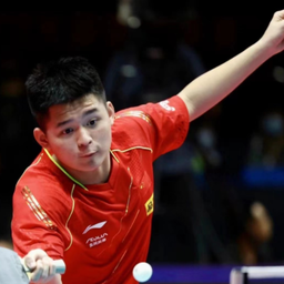 容忽视的新 容忽视的新